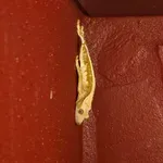 Crested Gecko